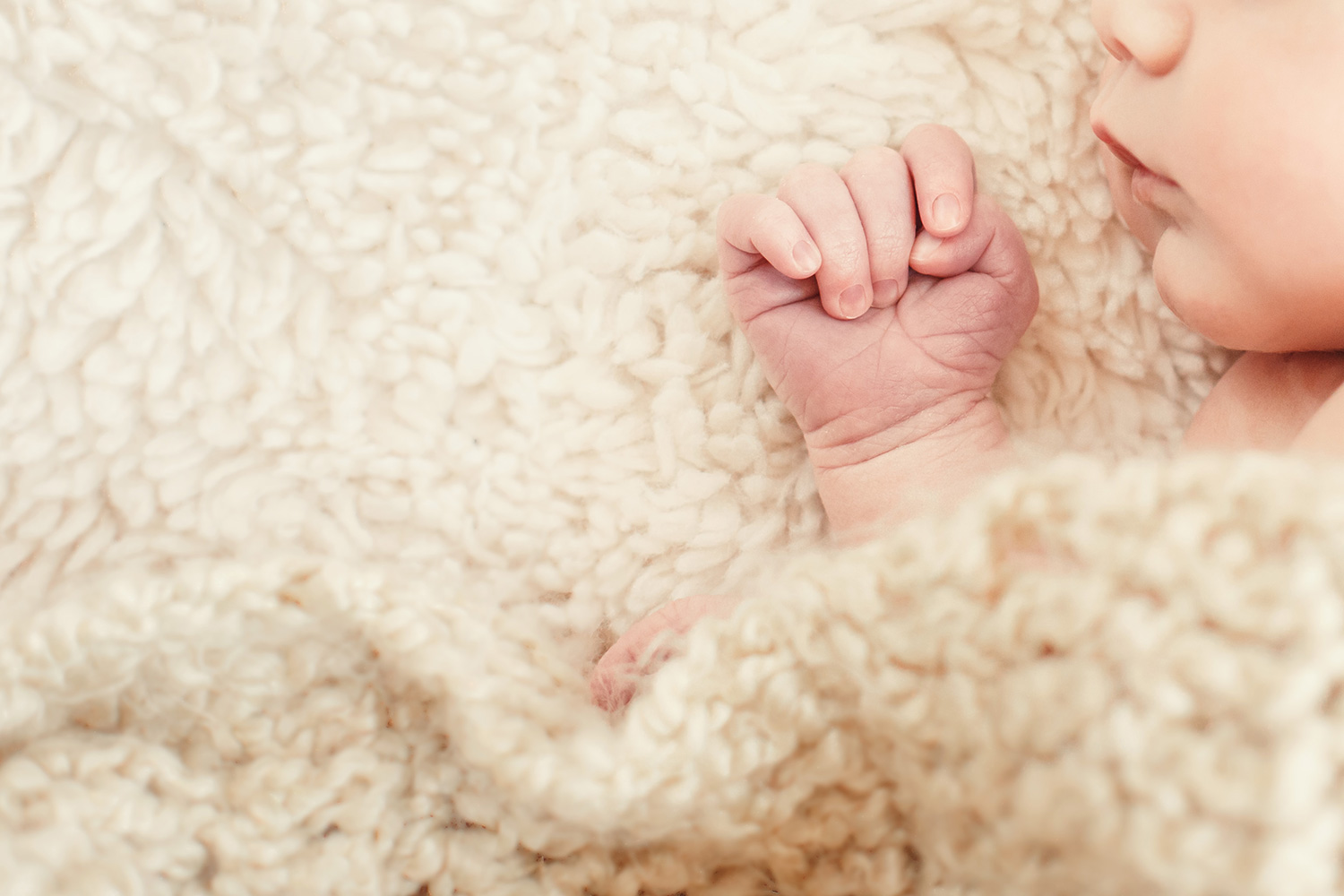 Carmel Newborn baby photography
