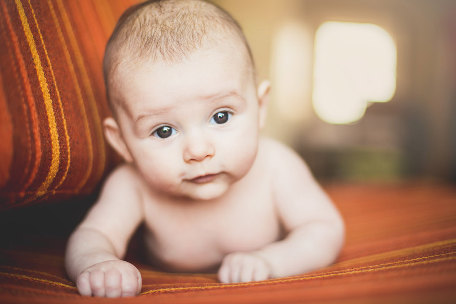 Newborn baby portrait on couch in Indianapolis